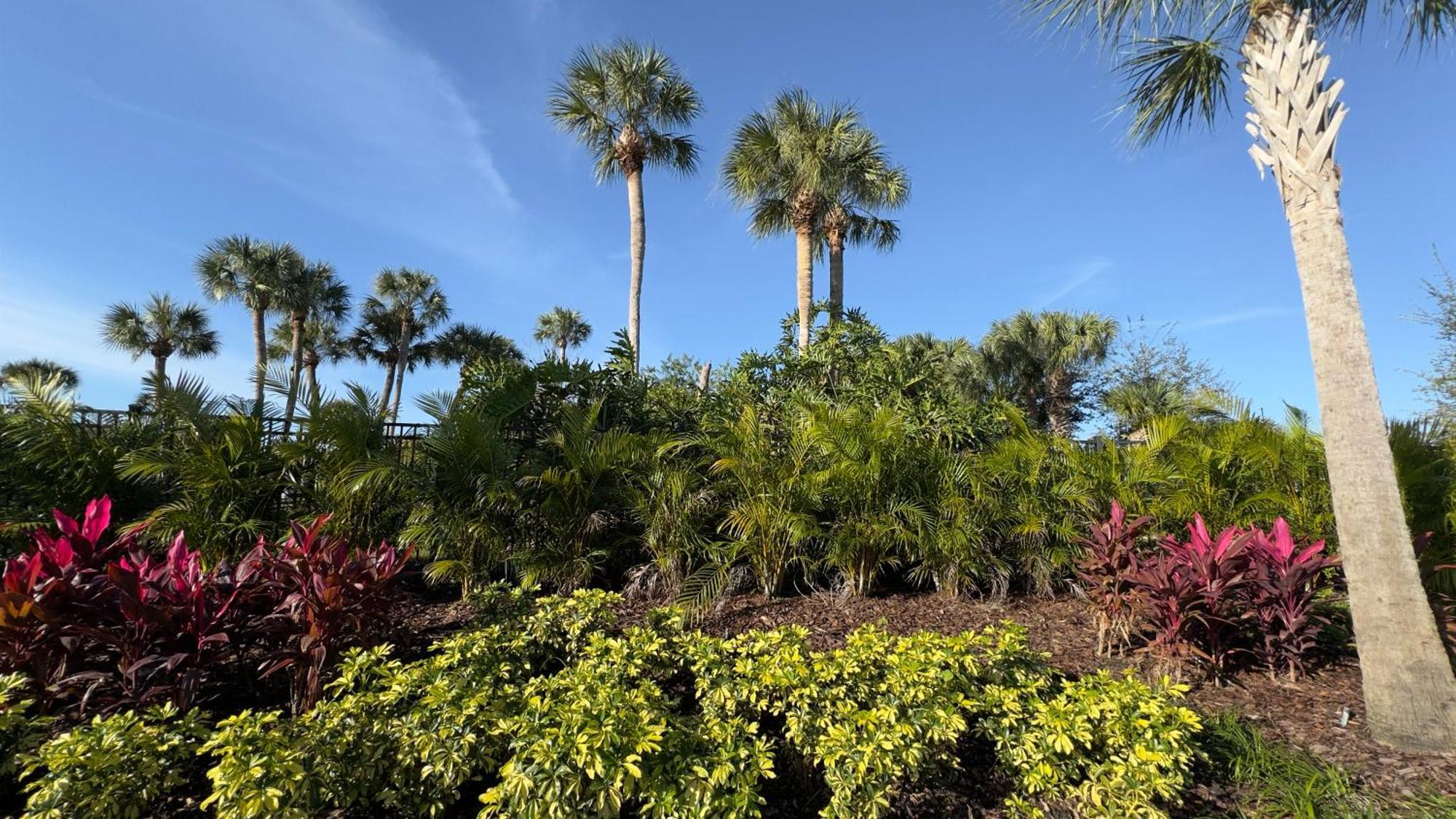 Avanti Palms Resort And Conference Center Orlando Kültér fotó